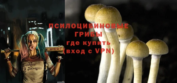 прущая мука Алзамай