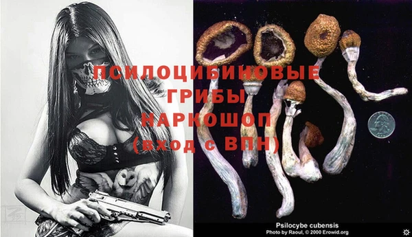 прущая мука Алзамай