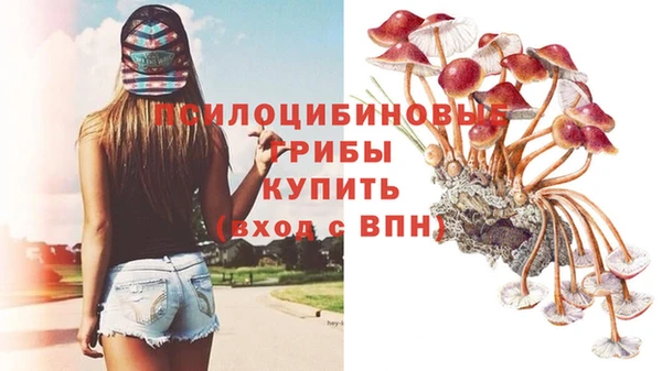 героин Алексин