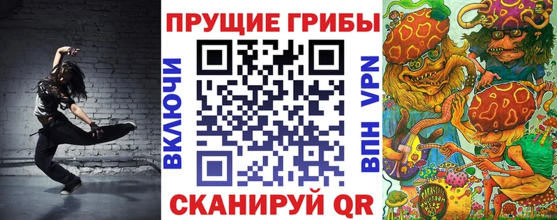 Галлюциногенные грибы Psilocybine cubensis  наркотики  Кашин 